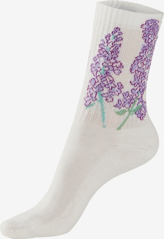 Chaussettes LASCANA en blanc