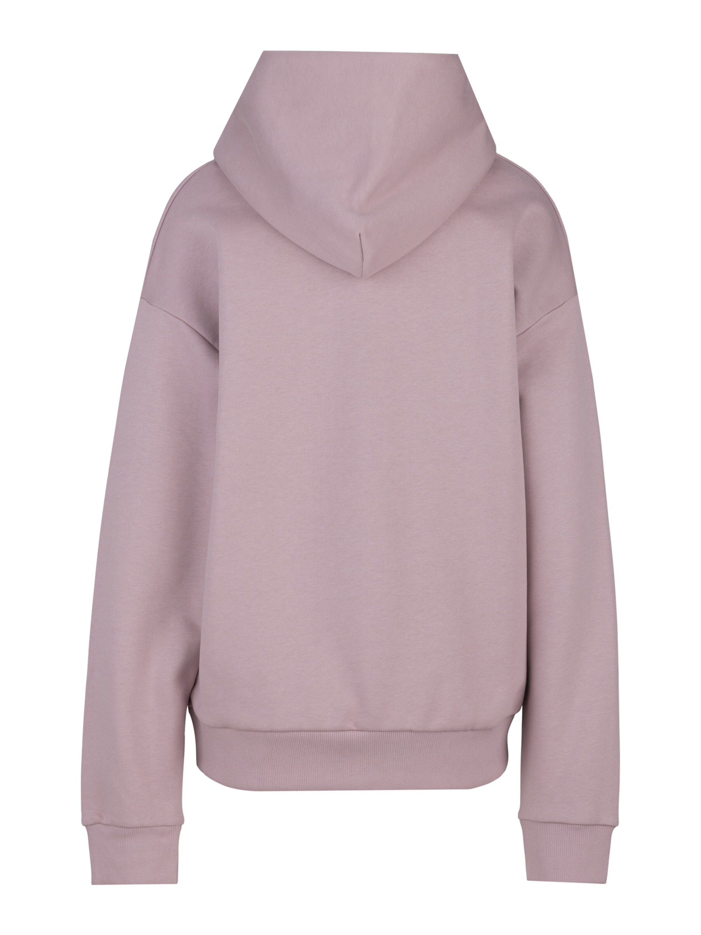 REPLAY Sweatshirt 'Brushed Cotton French Terry Fleece' in Pink