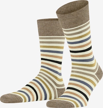 FALKE Socken 'Tinted Stripe' in Weiß: Vorderseite