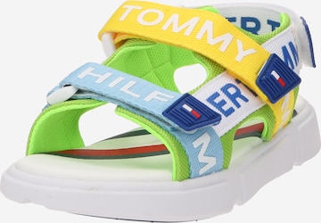 TOMMY HILFIGER Open shoes in Mixed colours: front