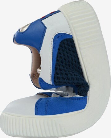 Baskets basses 'OTIS' Crickit en bleu