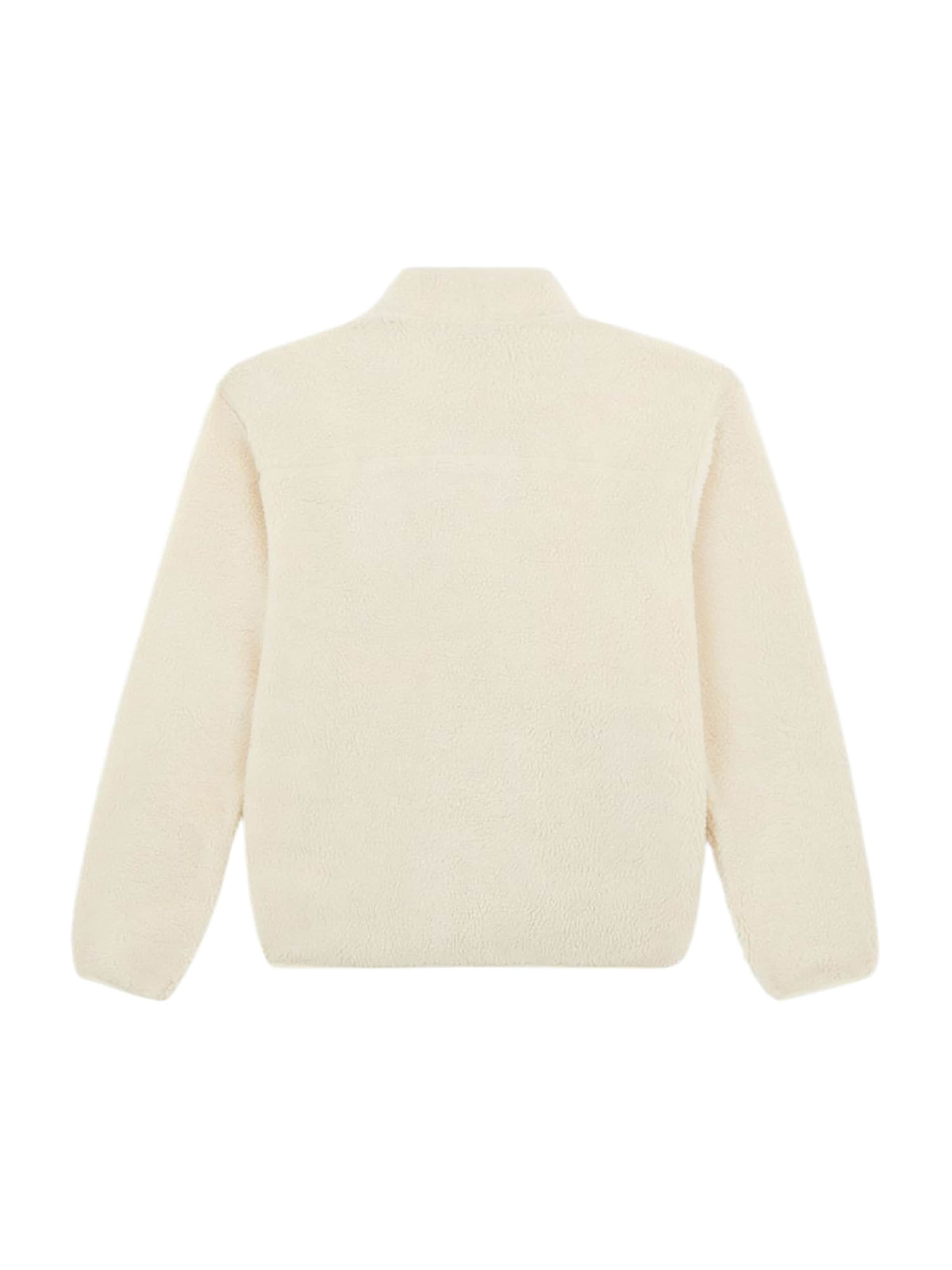 DICKIES Ζακέτα φλις 'Mount Hope' σε μπεζ