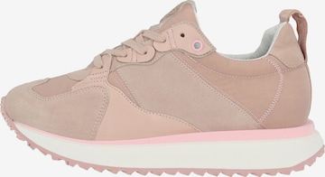 Apple of Eden Sneaker 'Louisa' in Pink