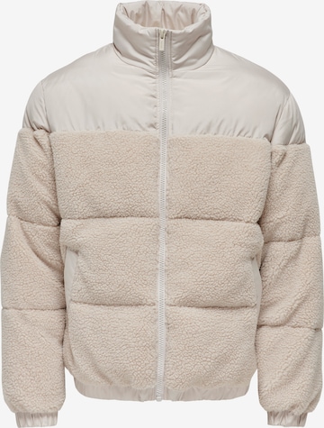 Giacca invernale 'ONSEli' di Only & Sons in grigio: frontale