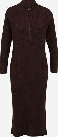 Y.A.S Petite Knitted dress 'MAVI' in Brown: front