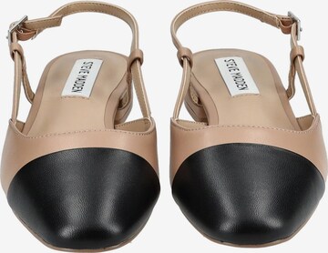 STEVE MADDEN Ballet Flats 'BELINDA' in Brown