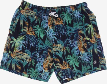 Hummel Shorts in 35-36 in Green: front