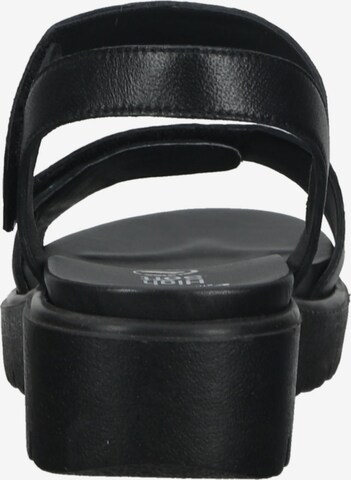 ARA Sandals in Black