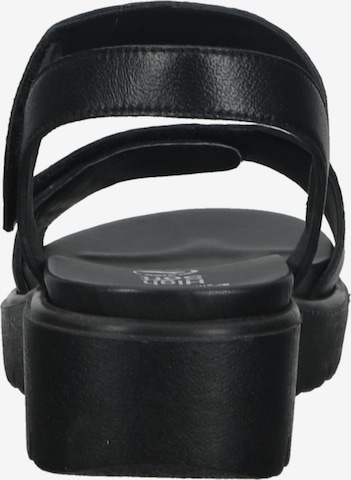 ARA Sandals in Black