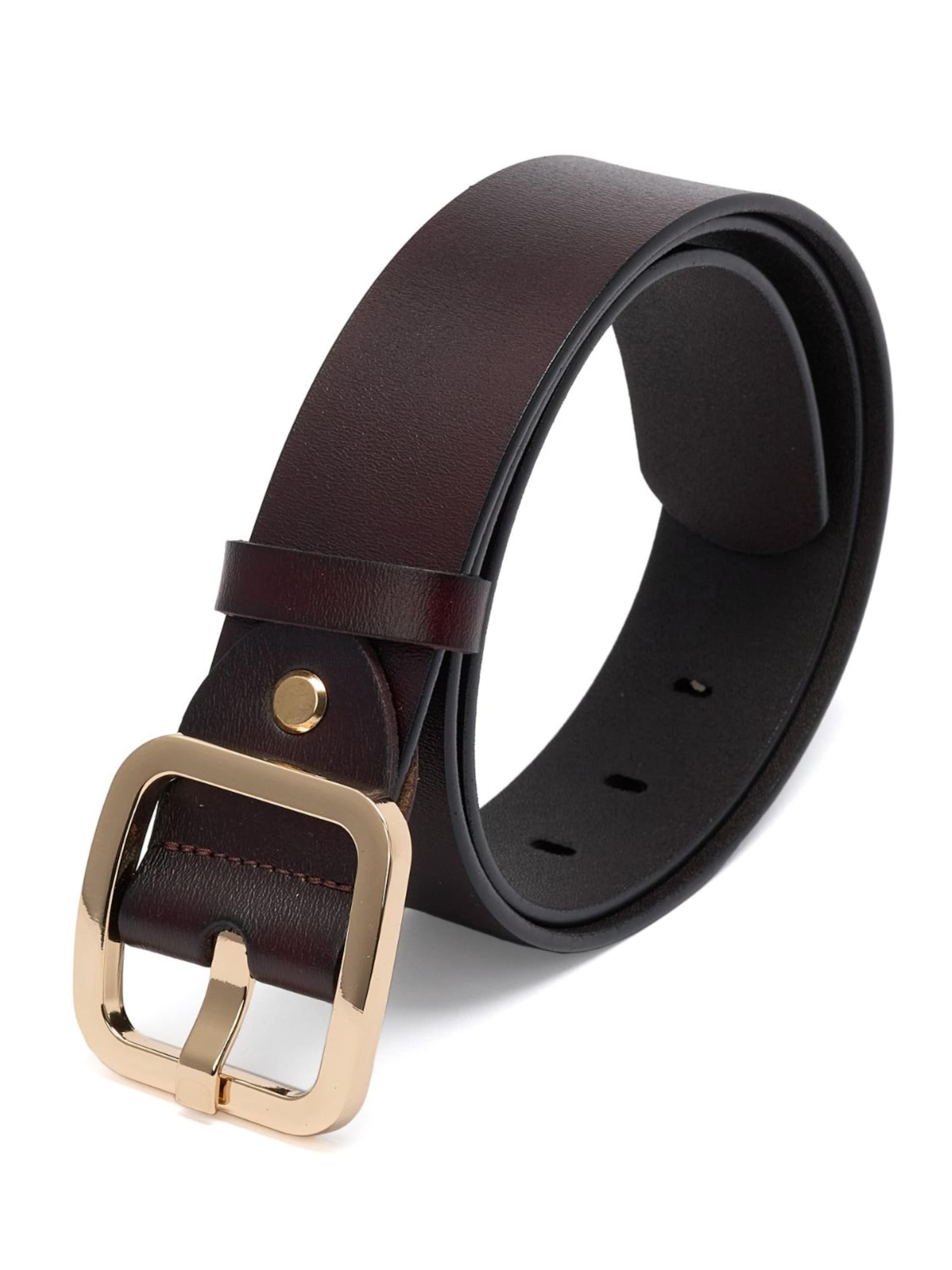 jolar Belt in Brown: front