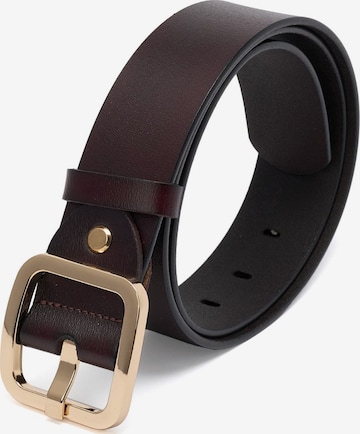 jolar Belt in Brown: front