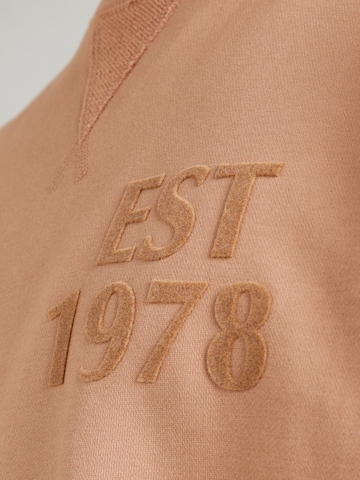 Carlo Colucci Sweatshirt in Braun