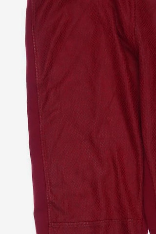 GUESS Stoffhose S in Rot