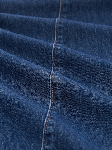 TOM TAILOR DENIM Loose fit Jeans 'ADEA BARREL' in Blue