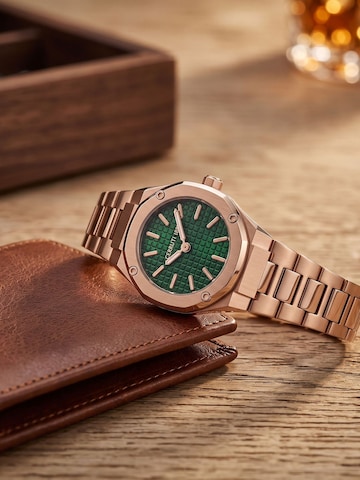 CERRUTI 1881 Analoog horloge 'Watch Razzuolo Small' in Goud
