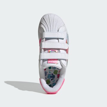 ADIDAS ORIGINALS Sneakers 'Care Bears Superstar' in Wit