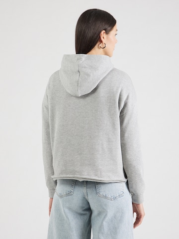 Pepe Jeans Μπλούζα φούτερ σε γκρι: πίσω