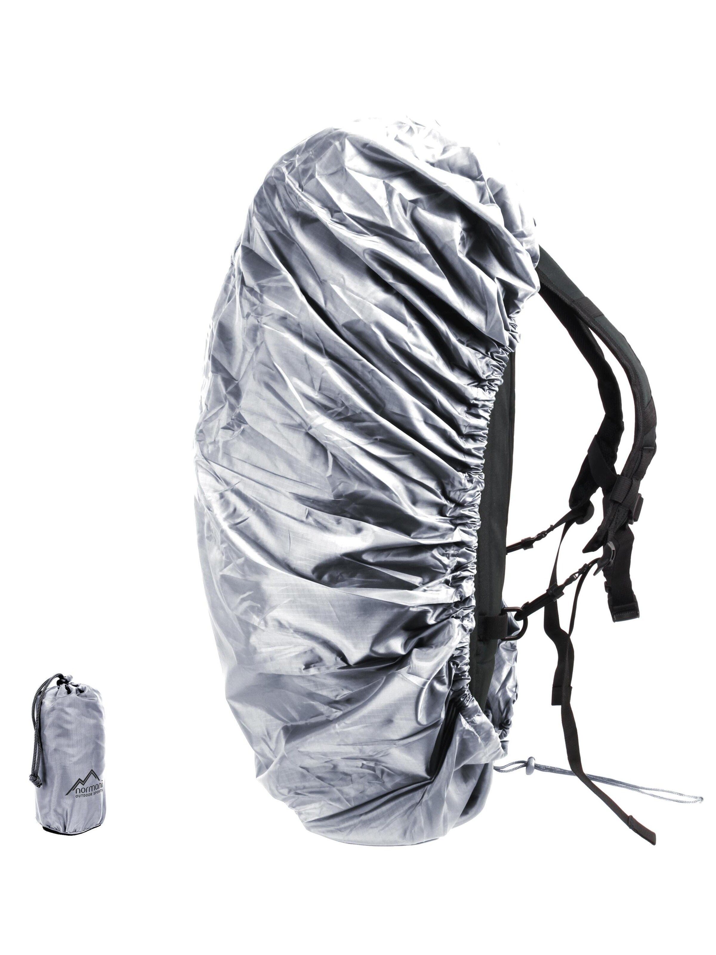 Sac à dos ' Tapetum Lucidum ' normani en argent