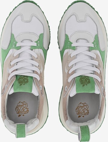Apple of Eden Sneakers 'LOLA' in Mixed colors