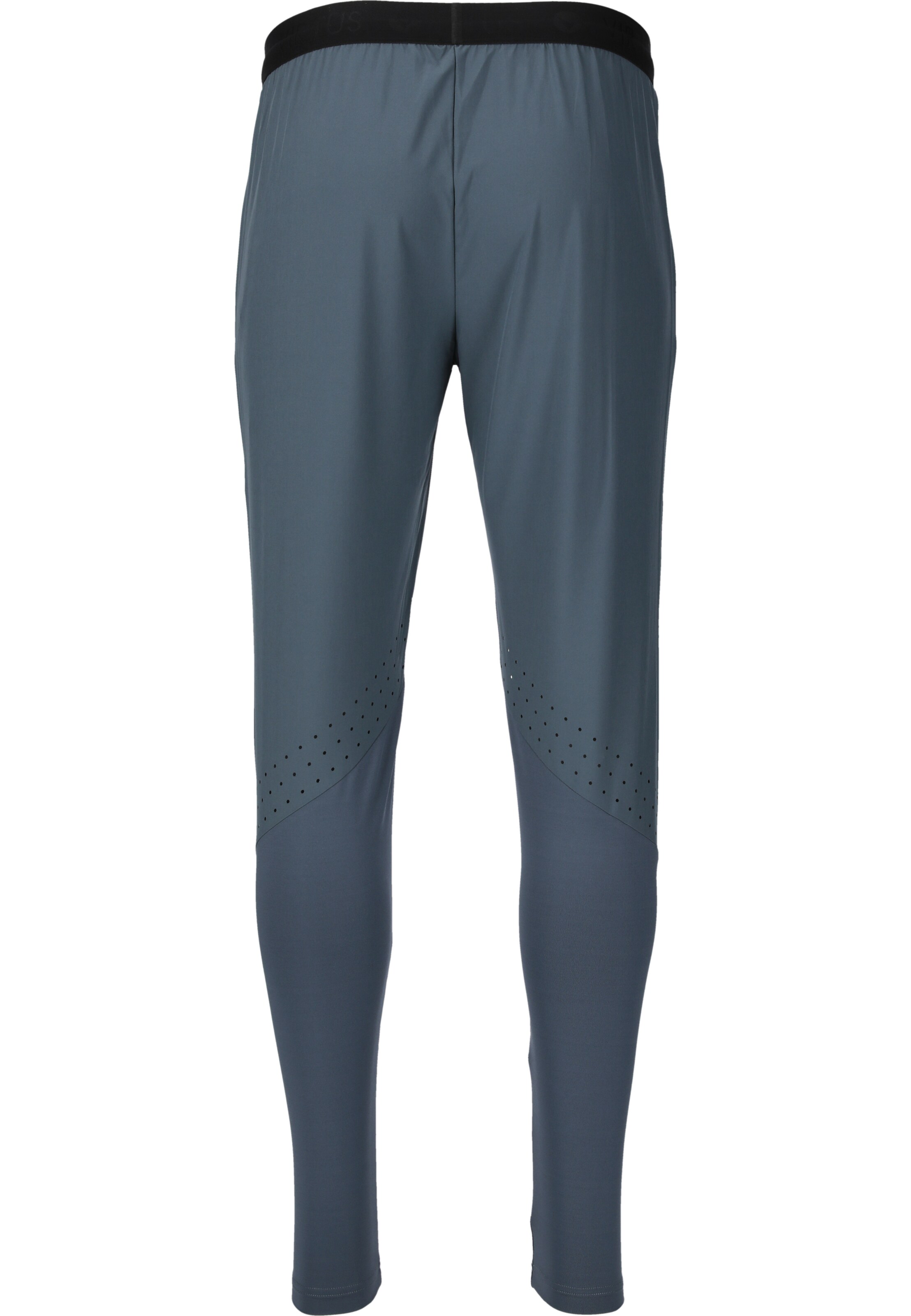 Virtus Tapered Trainingshose 'BLAG V2' in Grau