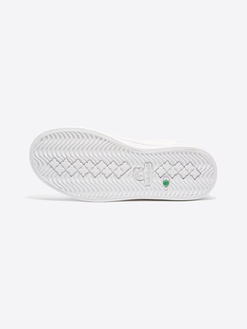 TIMBERLAND Trainers in White