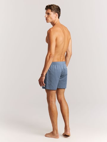 PROTEST Badeshorts 'PRTWytona'‌‌‌‌ in Blau