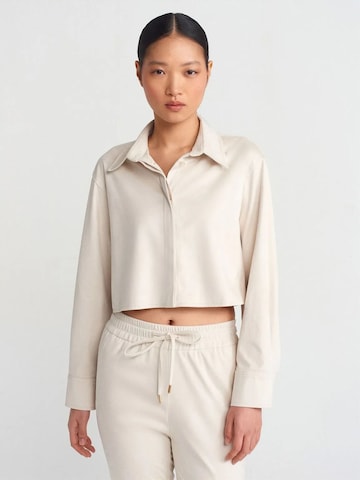 Dilvin Shirt in Beige: front