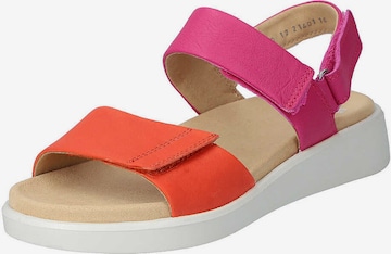 ARA Sandale 'Madeira' in Pink: Vorderseite