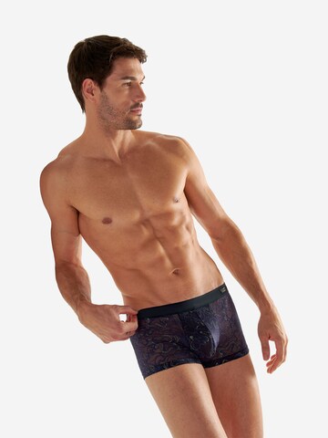 HOM Trunk ' Purple ' in Blau: Vorderseite