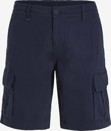 O'NEILL Cargo Pants 'Essentials' in Blue: front