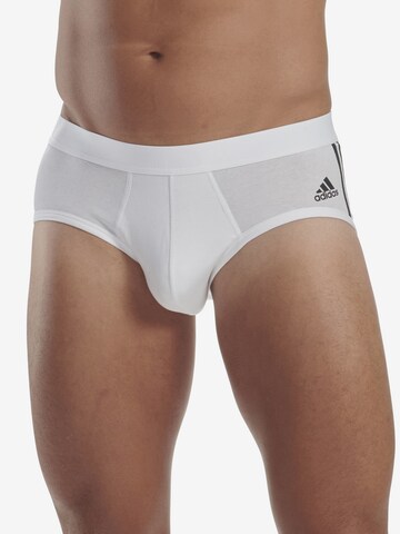 Slip ADIDAS SPORTSWEAR en gris : devant