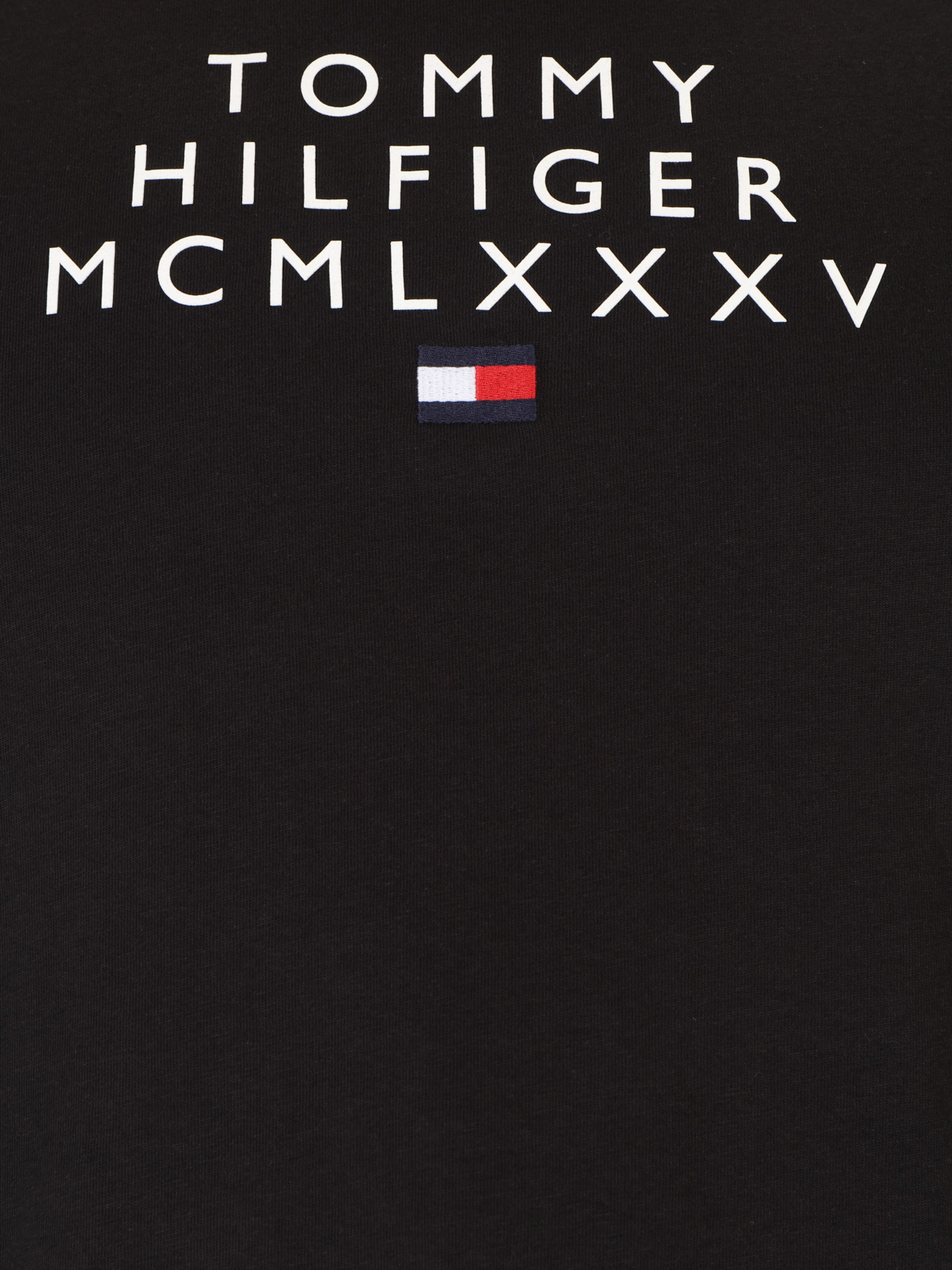 tommy hilfiger big and tall