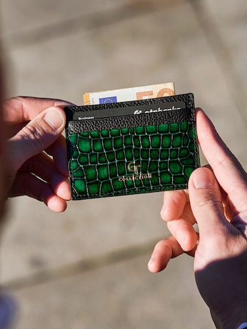 GT Collection Etui 'CROC ELITE' in Grün