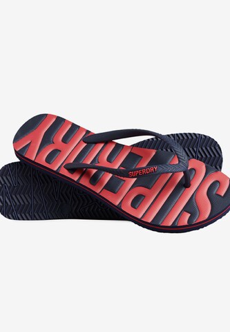 Superdry T-Bar Sandals in Blue