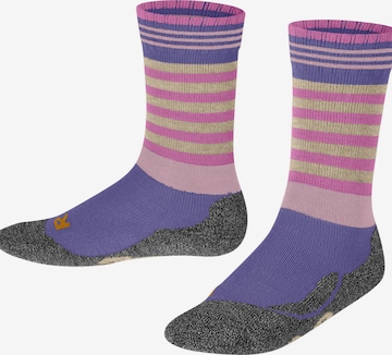 FALKE Socks 'Active Frog' in Purple: front