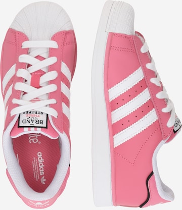 ADIDAS ORIGINALS Sneaker 'SUPERSTAR' in Pink