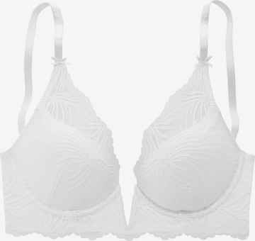 LASCANA T-shirt Bra in White: front