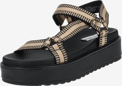 Sandalo con cinturino STEVE MADDEN di colore beige / nero, Visualizzazione prodotti