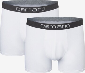 camano Boxer shorts in White: front