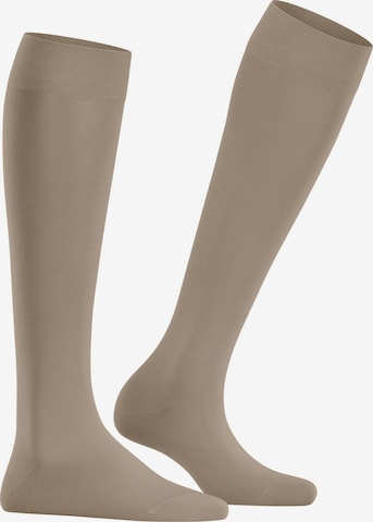 FALKE Knee High Socks 'Cotton Touch' in Beige: front