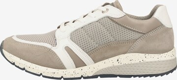 SALAMANDER Sneaker in Beige