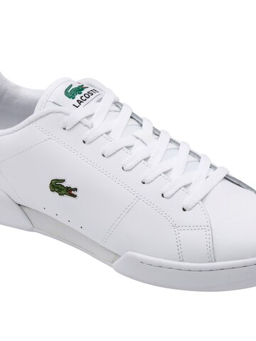 LACOSTE Sneakers laag 'Carnaby Cup' in Wit