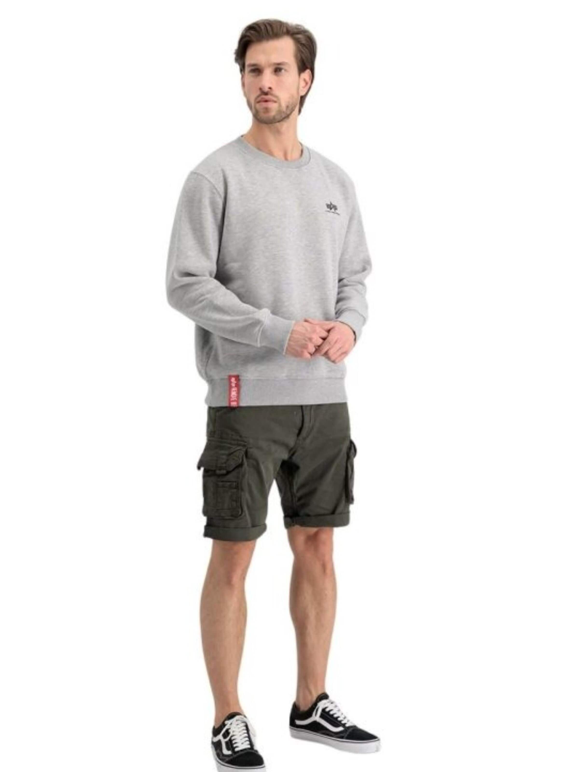 ALPHA INDUSTRIES Bluzka sportowa 'Basic Logo' w kolorze szary