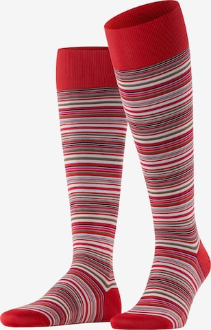 FALKE Kniestrümpfe 'Microblock' in Rot: Vorderseite
