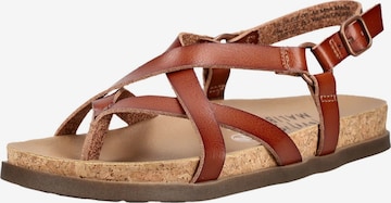 Séparateur d'orteils Blowfish Malibu en marron : devant