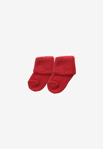 LILIPUT Underwear Set 'Auto mit Tannenbaum' in Red