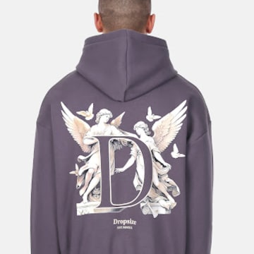 Dropsize Sweatshirt ' ' in Grijs