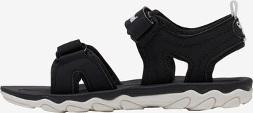 Hummel Sandals & Slippers in Black