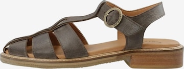 Ca'Shott Sandaalit 'Grace' värissä ruskea: etupuoli