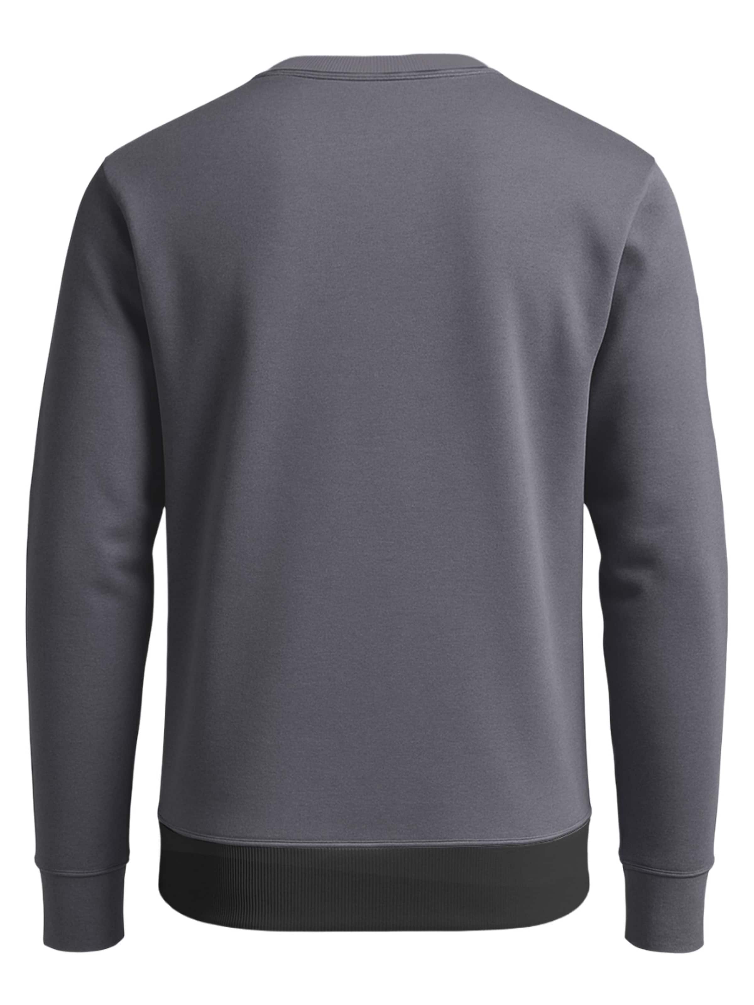 FORSBERG Sweatshirt 'Alvarson Sweatshirt' in Grey